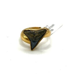 Charles Albert New Handcrafted Fossil Shark Tooth Adjustable Ring